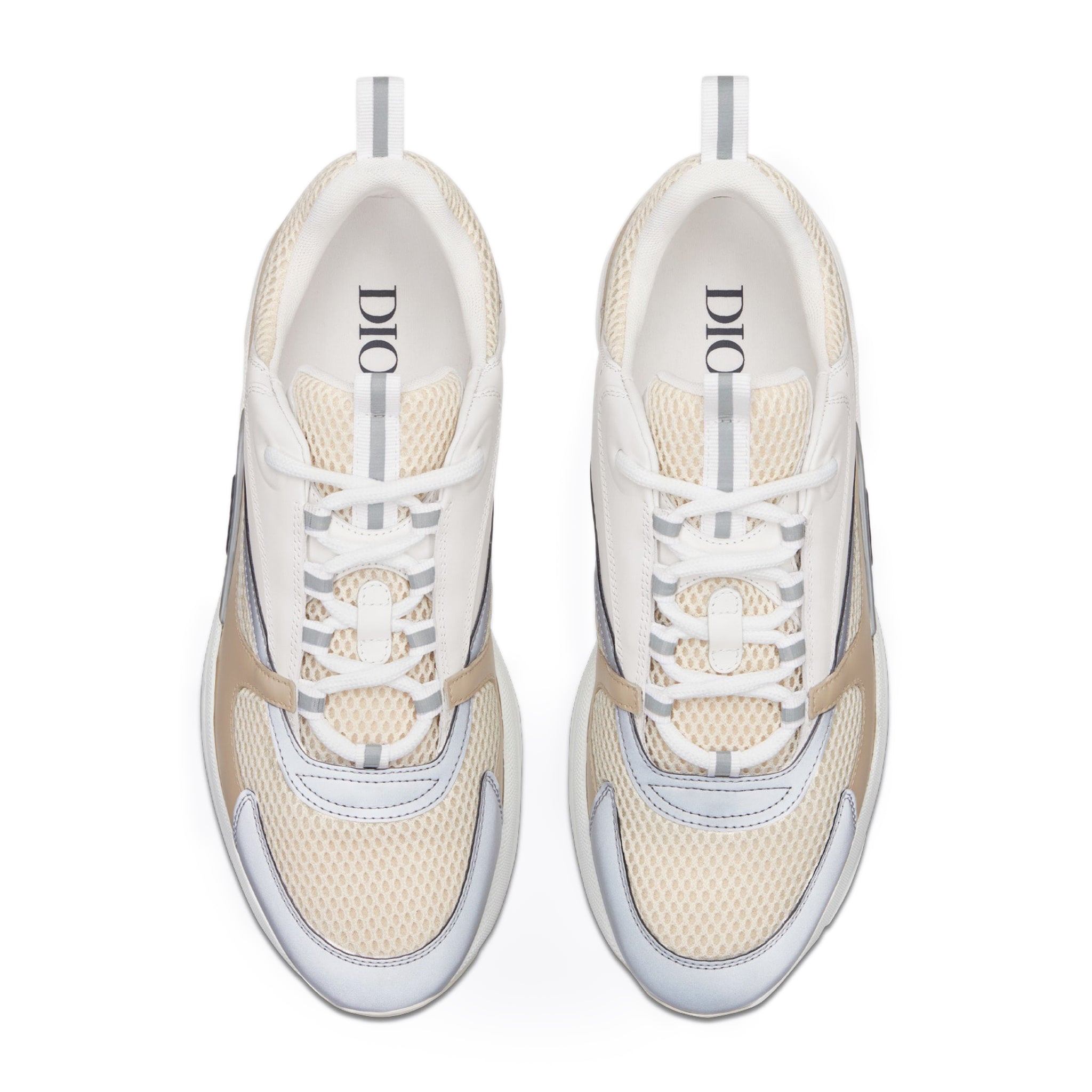 Dior B22 Lachs